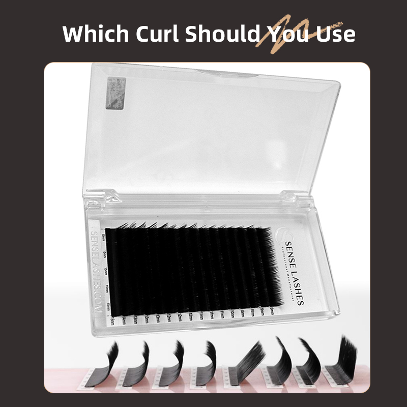SENSE LASHES L / M / LC / LD C - Eyelash Extension Human Hair review and price